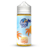 Ananas Mangue Orange 100ml - Fresh Hit (1)
