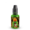 Concentré Ushiro 30ml - Fighter Fuel (1)