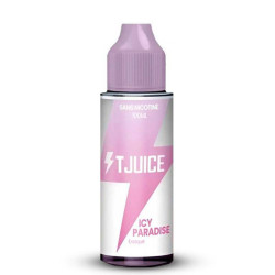 Icy Paradise 100ml - TJuice