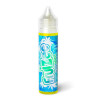 Icee Mint 50ml - Fruizee (1)