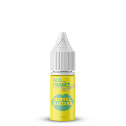 Concentré Menthe Blizzard - Bio Pure France