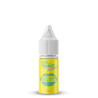 Concentré Menthe Blizzard - Bio Pure France (1)