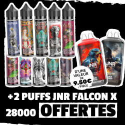 Pack 10 Tattoo Vape + 2 JNR Falcon X 28000 OFFERTES