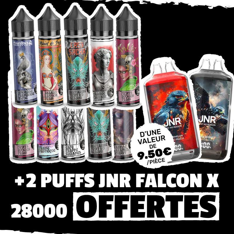 Pack 10 Tattoo Vape + 2 JNR Falcon X 28000 OFFERTES (1/1)